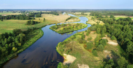 Natural river from the drone Natural river from the drone