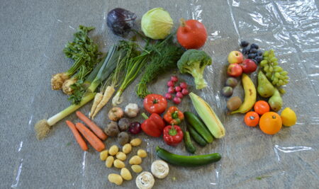 Project “Vegetables and fruits – tasty and healthy”
