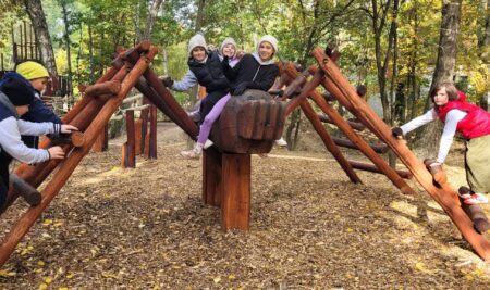 20251015_124304 Explorers’ Forest